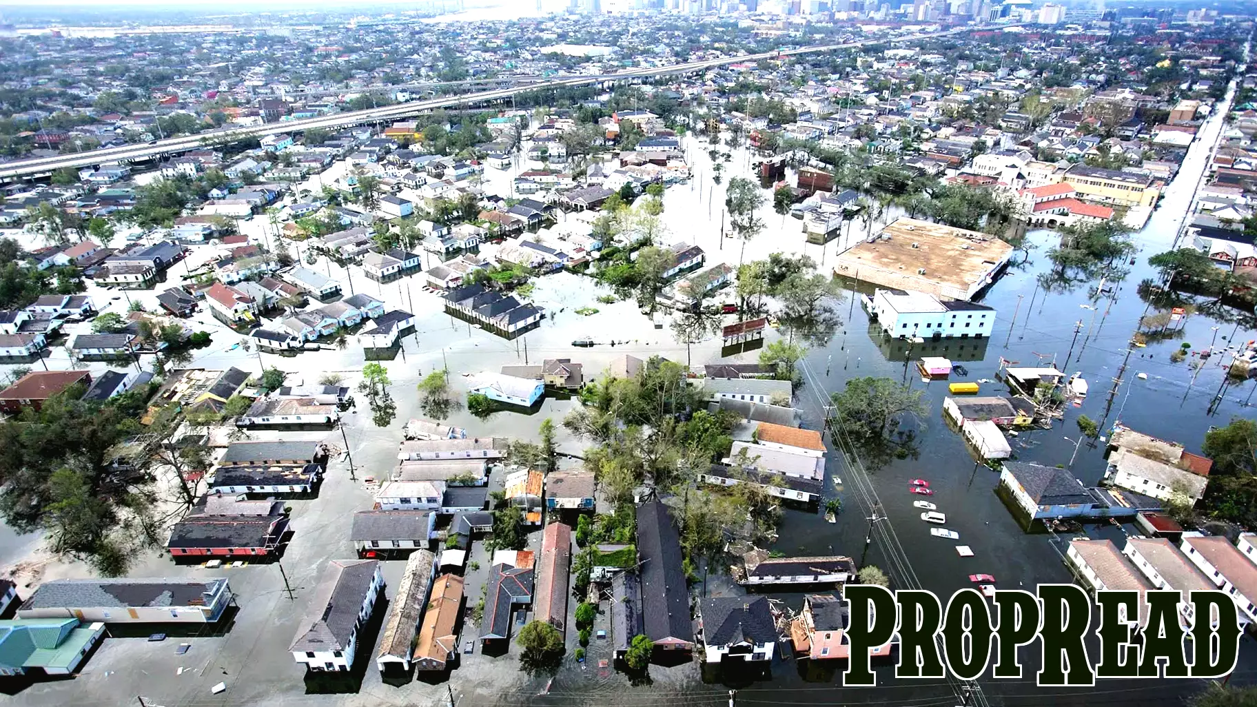 Eerie Study Warns New Orleans Residents To Relocate—but How Do You Move an Entire City?