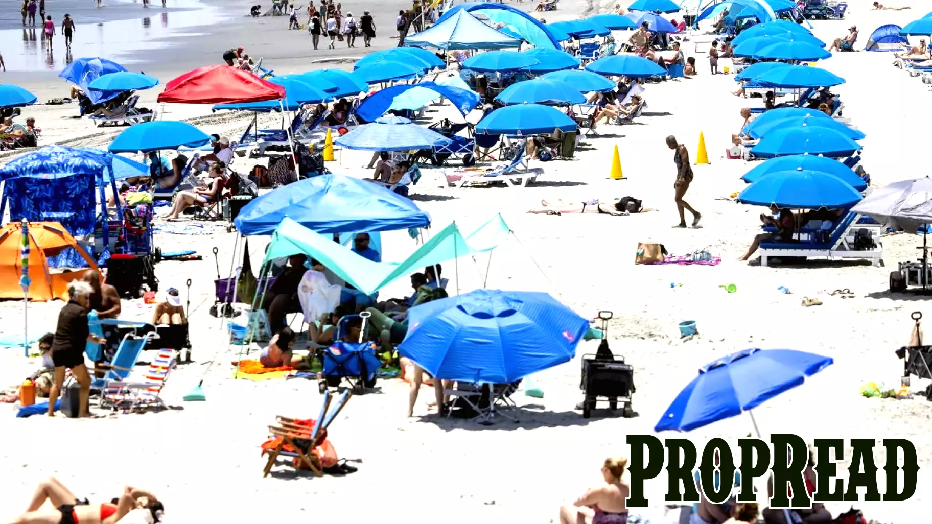 Folly Beach Town Council will take a long look at short-term rental cap this year