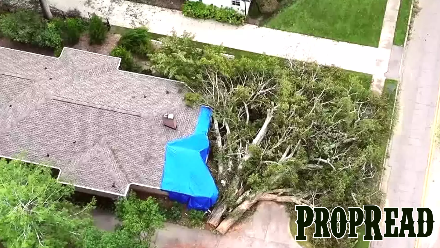 Home Insurance Challenges Impact Greenville's Real Estate Market