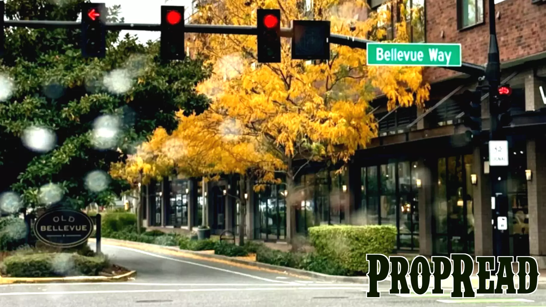 New Office Launch for Real Estate Firm in Old Bellevue