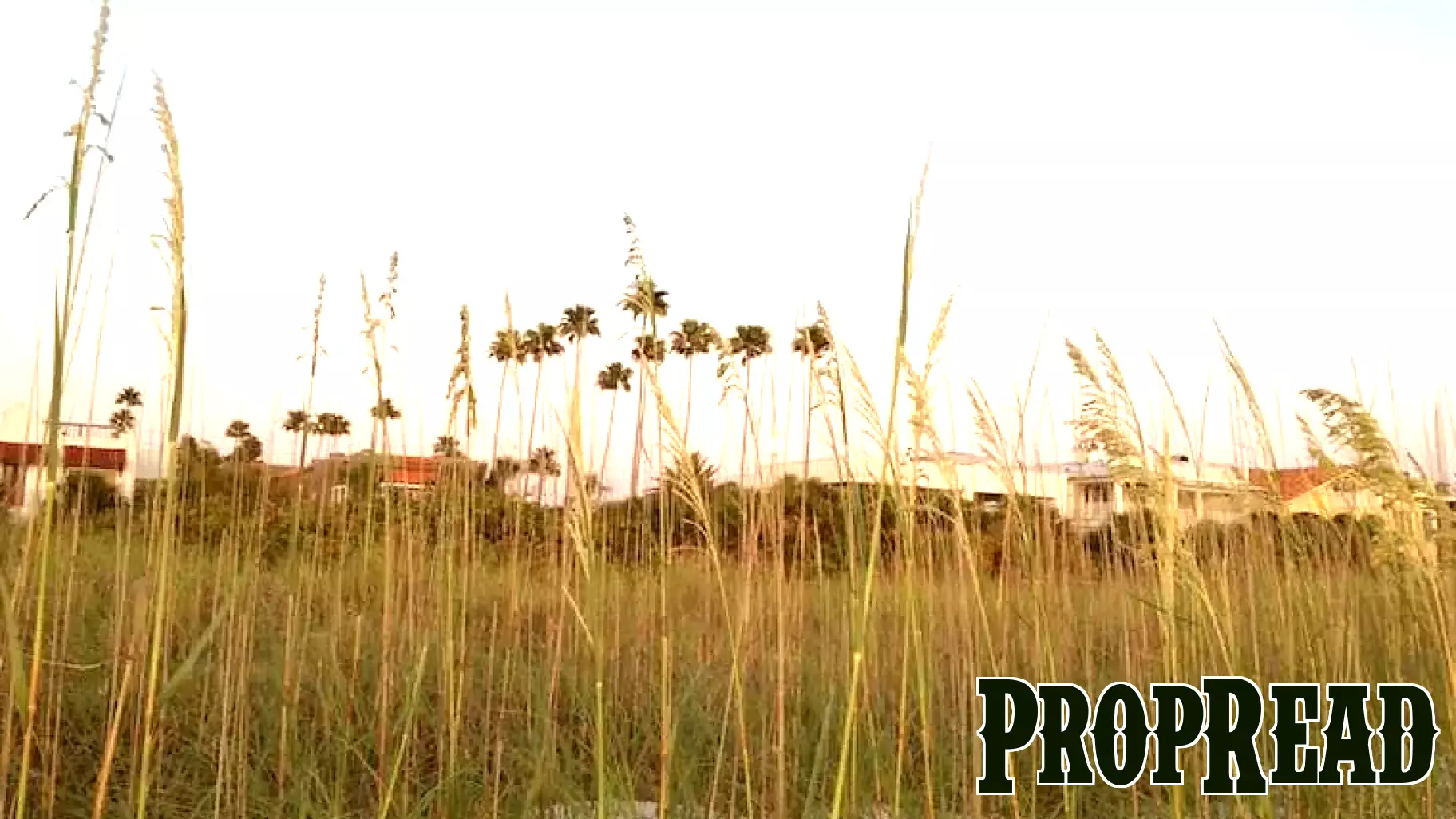 Pinellas Beaches Real Estate Feb. 13-20