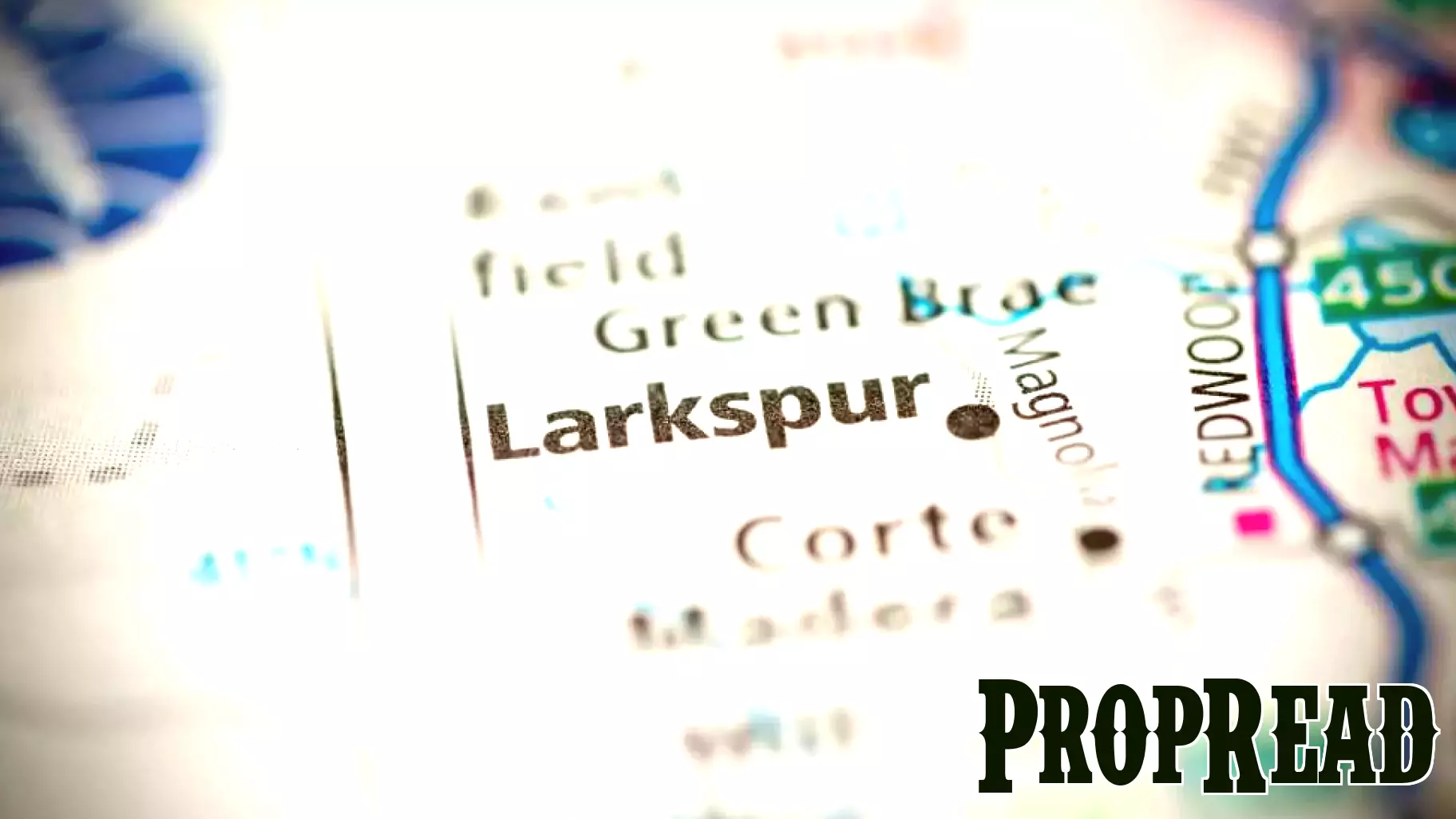 Recent Business Developments Across Sonoma, Solano, Napa, Marin, and Lake Counties