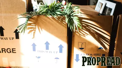 California Dreamers Return: Why One Family's Texas Move Backfired