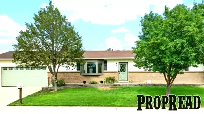 Explore Your Future Home with Rogue Agents' Open Houses