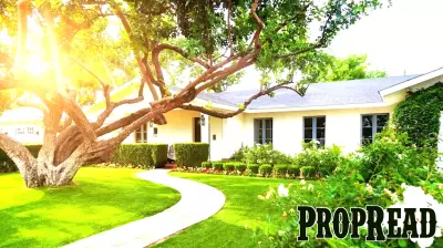 Real Estate Experts Reveal How Trees Can Affect Your Property Value