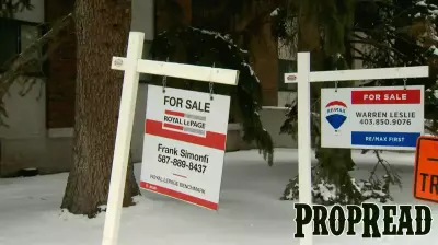 Realtors say Calgary’s real estate market is now attracting a new kind of buyer