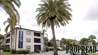 Two Tampa Bay Apartment Complexes Face Foreclosure in $400M Auction